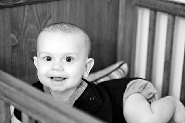 img_8519sm img_8519sm