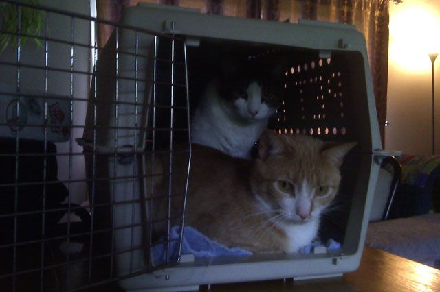 brothers