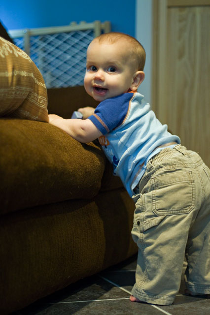 img_9662sm1 img_9662sm1