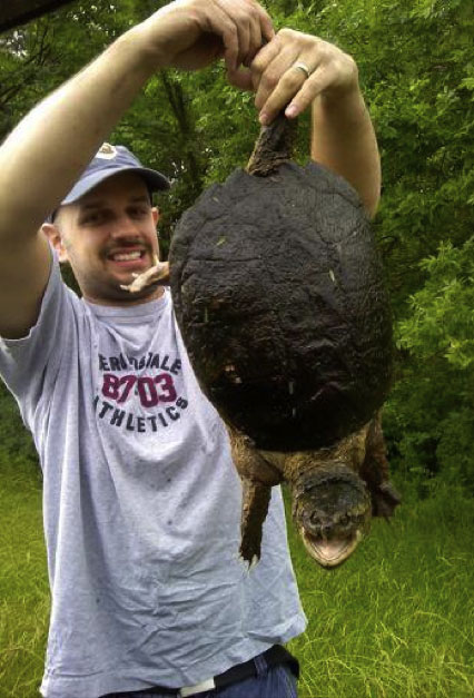 turtle