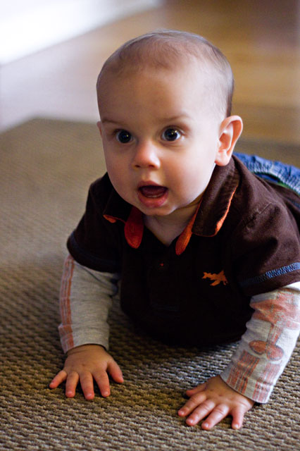 img_0446sm img_0446sm