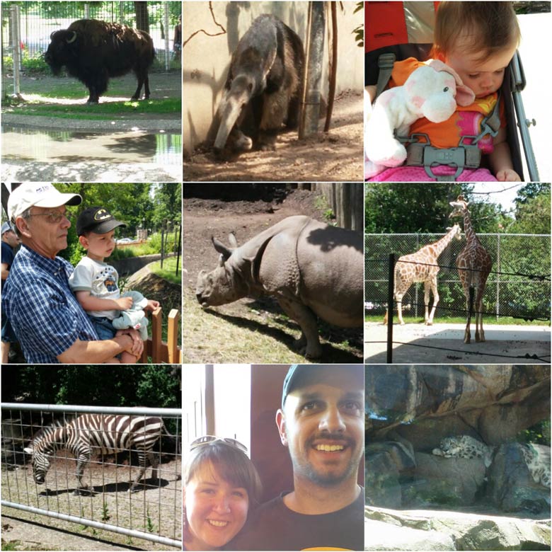 zoo1SM