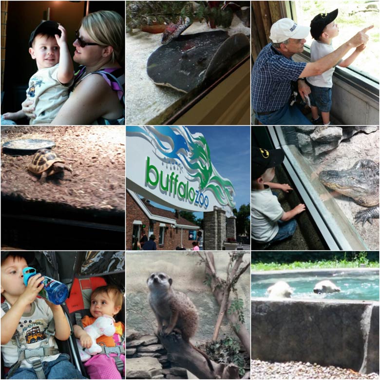 zoo2SM