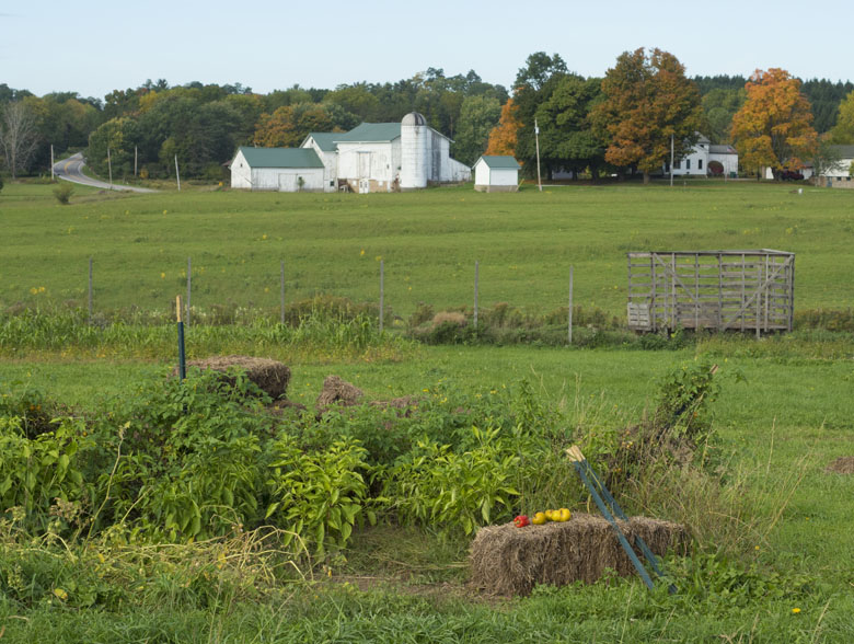 PA109396sm